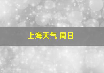 上海天气 周日